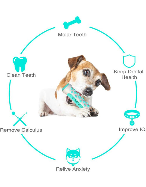 Load image into Gallery viewer, Dog Molar Toothbrush Toys Chew Cleaning Teeth Safe Elasticity Soft TPR Puppy Dental Care Extra-tough Pet Cleaning Toy Supplies
