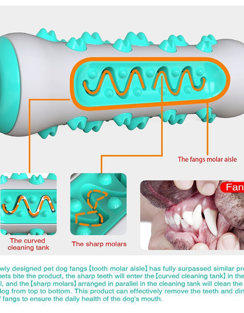 Load image into Gallery viewer, Dog Molar Toothbrush Toys Chew Cleaning Teeth Safe Elasticity Soft TPR Puppy Dental Care Extra-tough Pet Cleaning Toy Supplies
