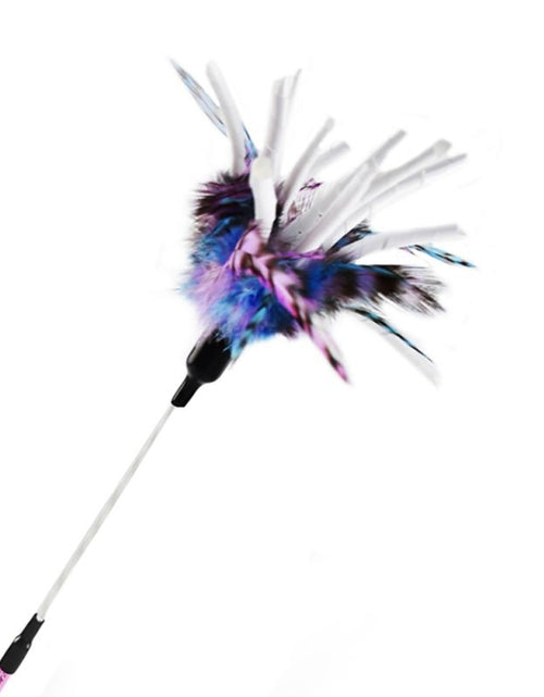 Load image into Gallery viewer, Interactive Cat Toy Funny Simulation Feather Bird with Bell Cat Stick Toy for Kitten Playing Teaser Wand Toy Cat Supplies
