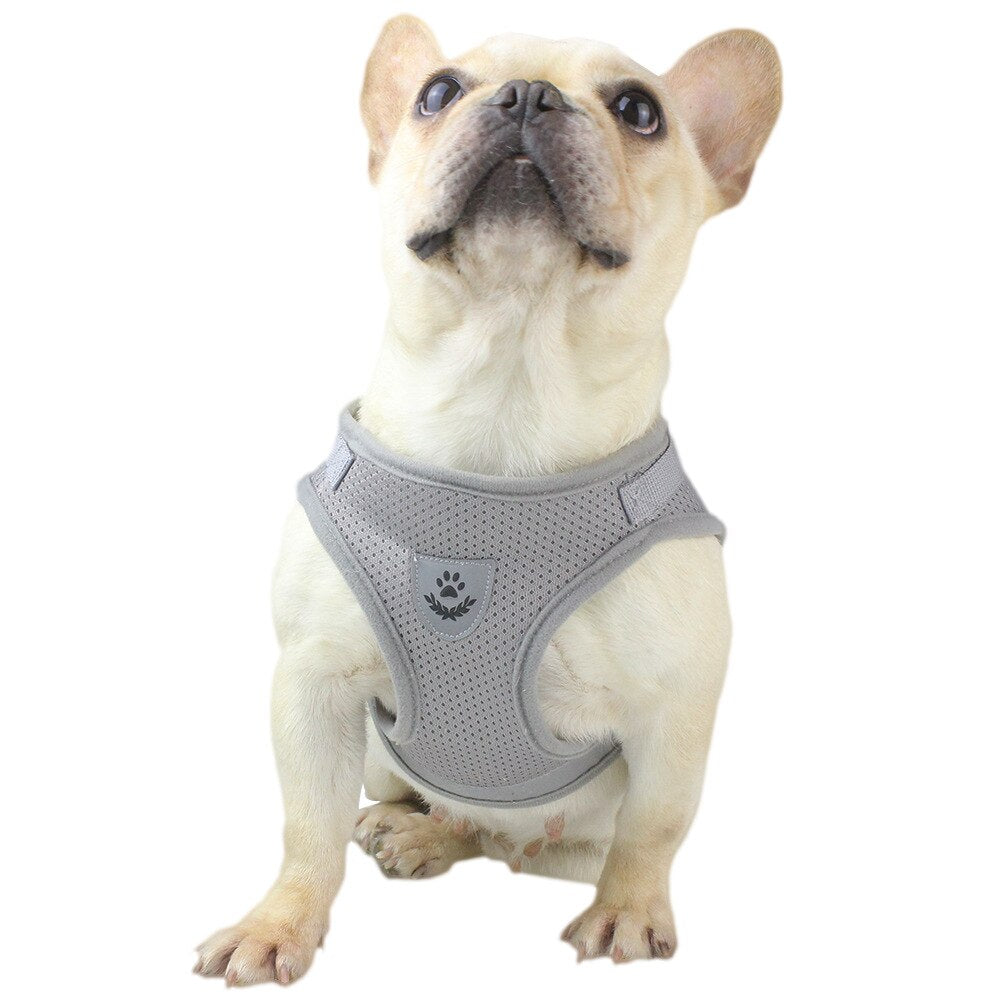 Adjustable Dog Harness Reflective Cat Vest Walking Leash for Puppy Cat Dogs Collar Polyester Mesh Harness for Small Medium Dogs