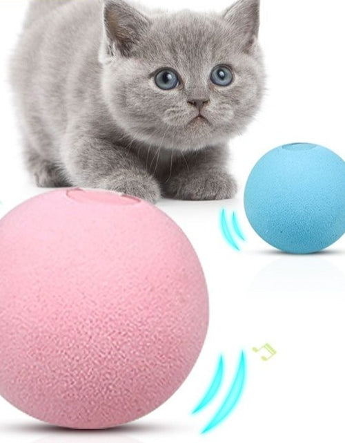 Load image into Gallery viewer, Smart Cat Toys Interactive Ball Smart Touch Bird Frog Cricket Sound Balls Pets Chewing Playing Toy Catnip Cat Training Supplies
