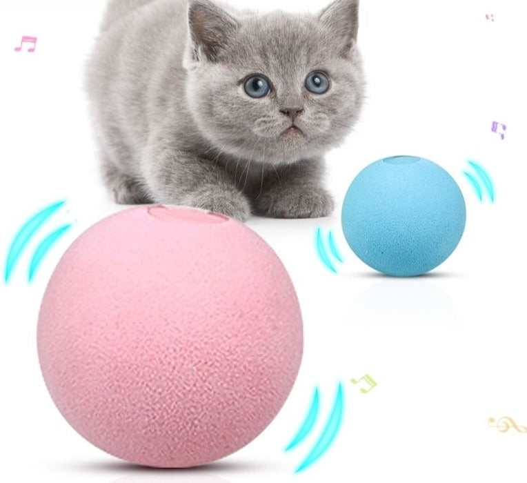 Smart Cat Toys Interactive Ball Smart Touch Bird Frog Cricket Sound Balls Pets Chewing Playing Toy Catnip Cat Training Supplies