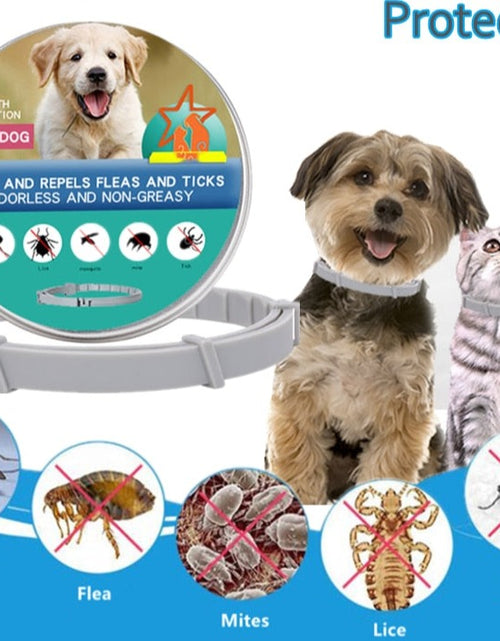 Load image into Gallery viewer, Retractable Dogs Mosquitoe Repellent Collar Pet Antiparasitic Anti Flea Tick Collar For Small Large Dog Cat Leash Pet Products
