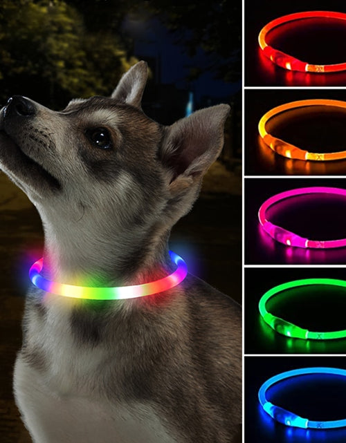 Load image into Gallery viewer, Led Dog Collar Luminous Usb Cat Dog Collar 3 Modes Led Light Glowing Loss Prevention LED Collar For Dogs Pet Dog Accessories
