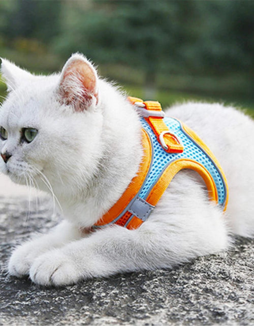 Load image into Gallery viewer, Adjustable Cat Harness Leash Escape Proof Kitten Dog Harness For Cat Small Dog Breathable Cat Harness Lead Leash Pet Accessories
