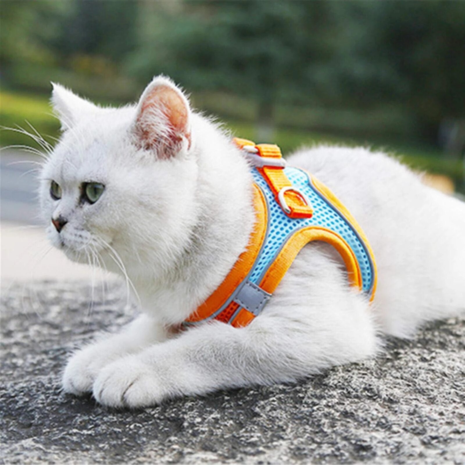 Adjustable Cat Harness Leash Escape Proof Kitten Dog Harness For Cat Small Dog Breathable Cat Harness Lead Leash Pet Accessories