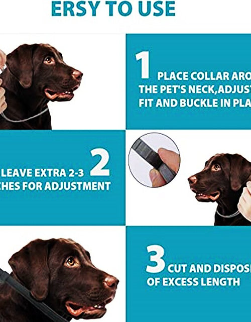 Load image into Gallery viewer, Extendable Pet Cat Dog Flea Collar Antiparasitic Necklace Anti-Flea and Tick Repellent Collar For Dogs Cats Pet Products
