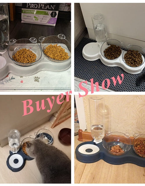 Load image into Gallery viewer, Pet Cat Bowl Automatic Feeder 3-in-1 Dog Cat Food Bowl With Water Fountain Double Bowl Drinking Raised Stand Dish Bowls For Cats
