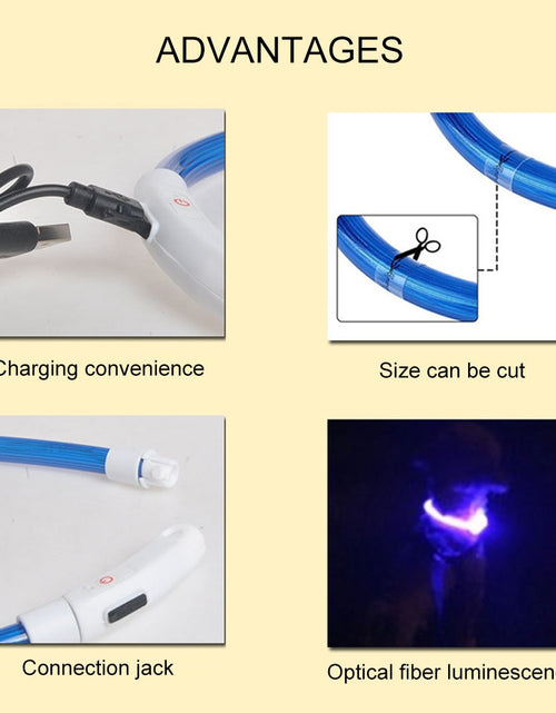 Load image into Gallery viewer, Led Dog Collar Luminous Usb Cat Dog Collar 3 Modes Led Light Glowing Loss Prevention LED Collar For Dogs Pet Dog Accessories
