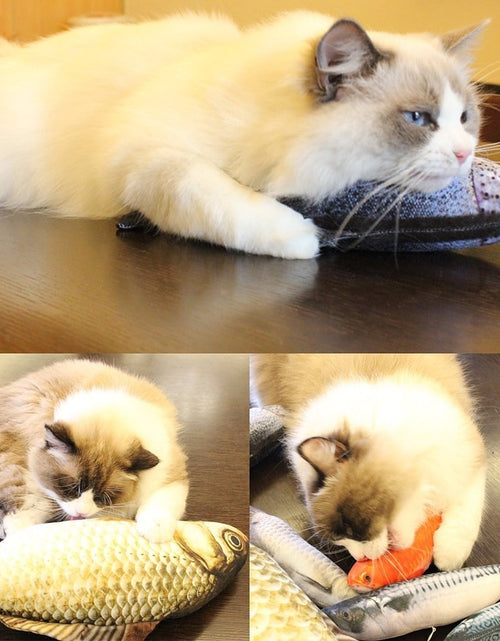 Load image into Gallery viewer, Cat Toy Training Entertainment Fish Plush Stuffed Pillow 20CM Simulation Fish Cat Toy Fish Interactive Pet Chew Toys
