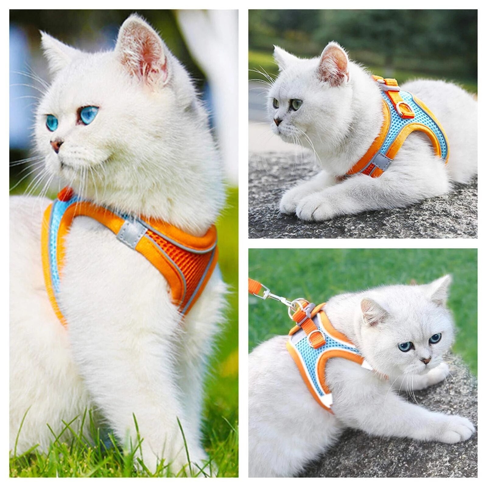 Adjustable Cat Harness Leash Escape Proof Kitten Dog Harness For Cat Small Dog Breathable Cat Harness Lead Leash Pet Accessories