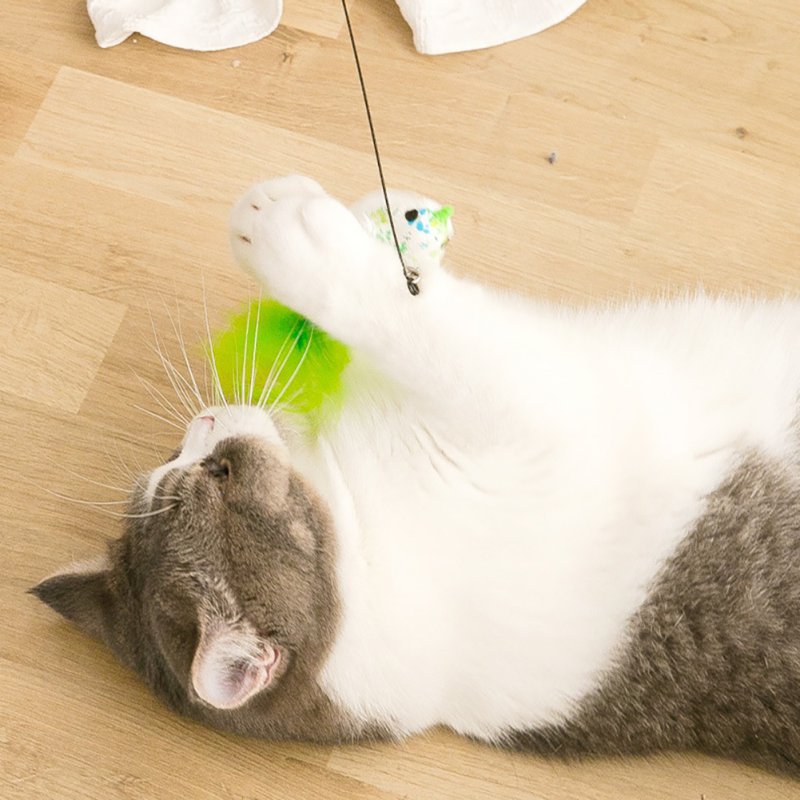 Interactive Cat Toy Funny Simulation Feather Bird with Bell Cat Stick Toy for Kitten Playing Teaser Wand Toy Cat Supplies