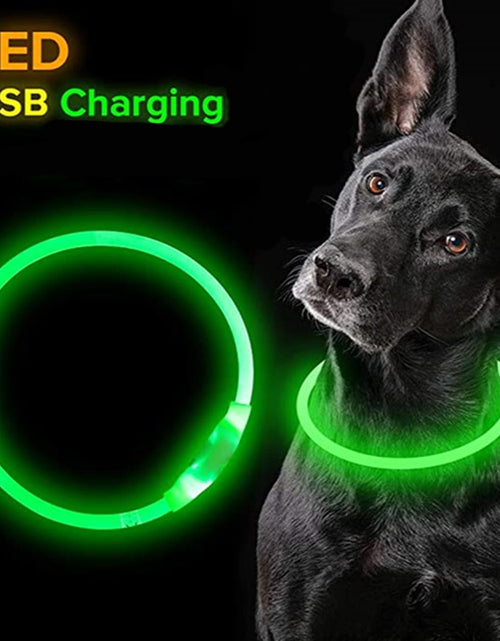 Load image into Gallery viewer, Led Dog Collar Luminous Usb Cat Dog Collar 3 Modes Led Light Glowing Loss Prevention LED Collar For Dogs Pet Dog Accessories
