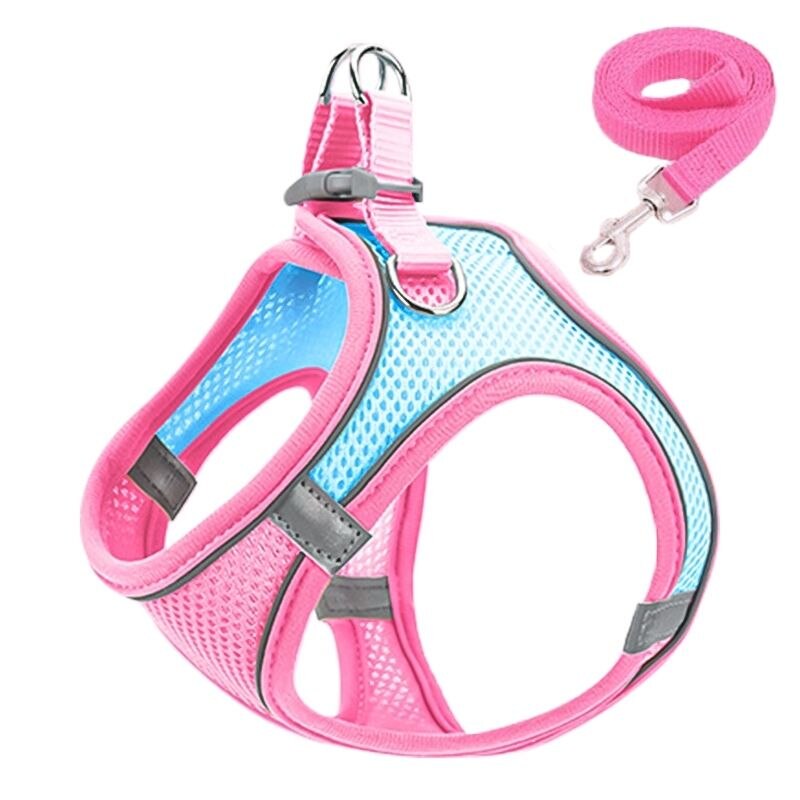 Adjustable Cat Harness Leash Escape Proof Kitten Dog Harness For Cat Small Dog Breathable Cat Harness Lead Leash Pet Accessories